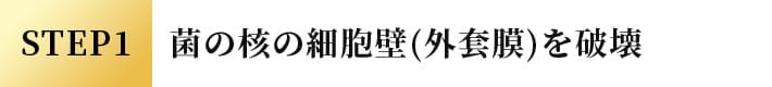 STEP1 菌の核の細胞壁(外套膜)を破壊