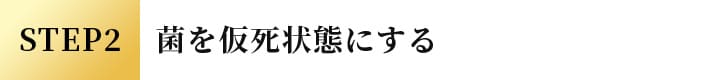 STEP2 菌を仮死状態にする